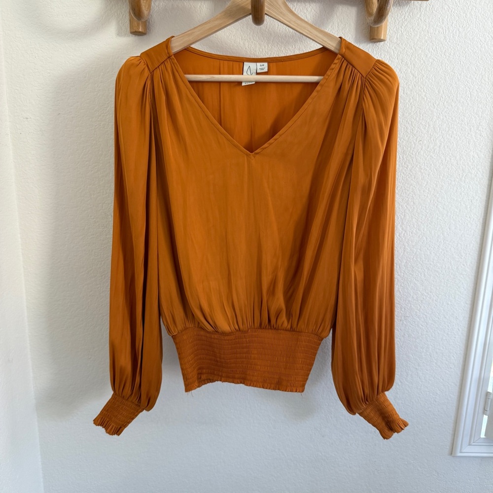 Joie Burnt Orange V-Neck Long Sleeve Blouse Sz S